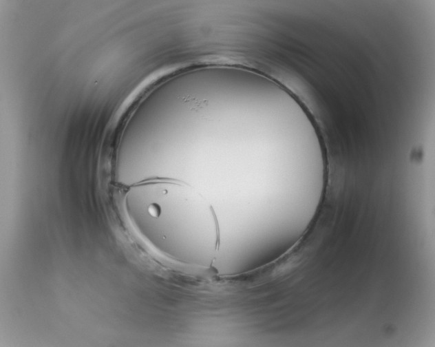 X0000113091000200909182109