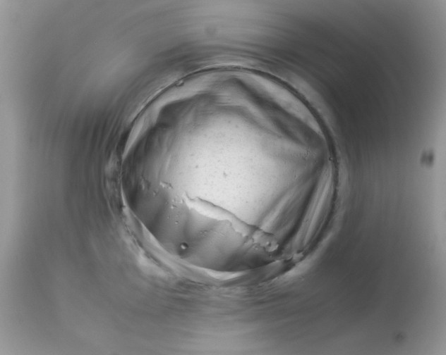 X0000113091001200909182109