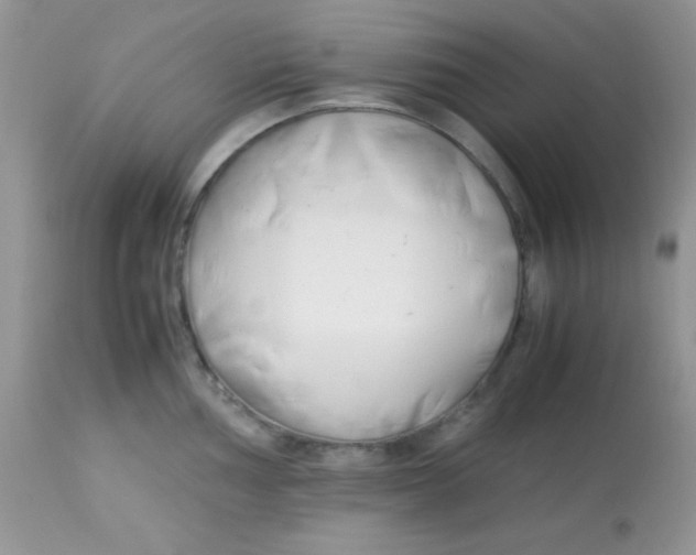 X0000113091002200909182109