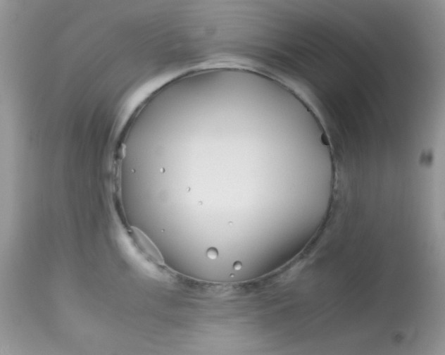 X0000113091003200909182109