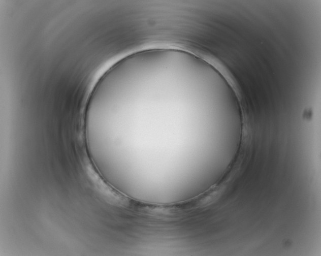 X0000113091004200909182109