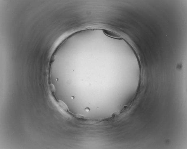 X0000113091005200909182109