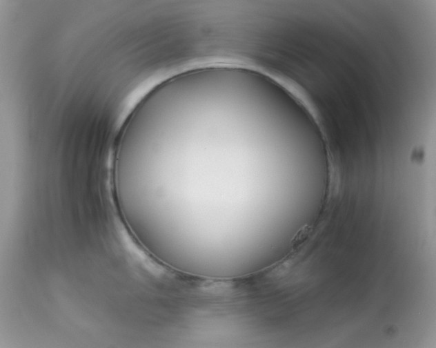 X0000113091006200909182109