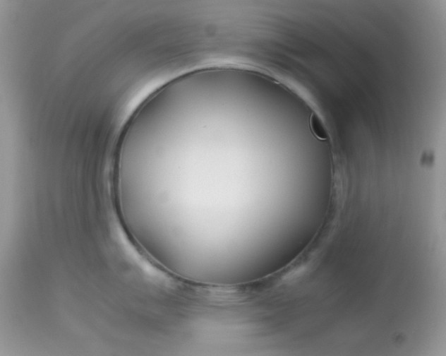 X0000113091007200909182109