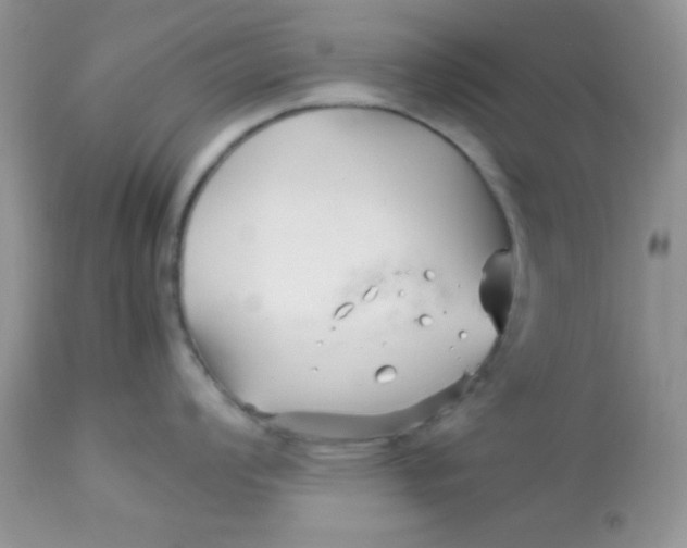 X0000113091008200909182109