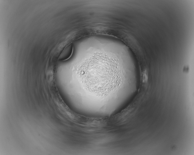 X0000113091011200909182108