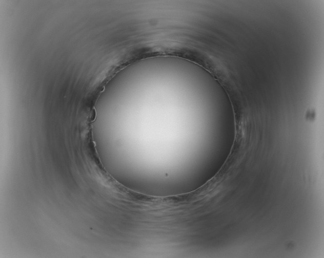 X0000113091012200909182108
