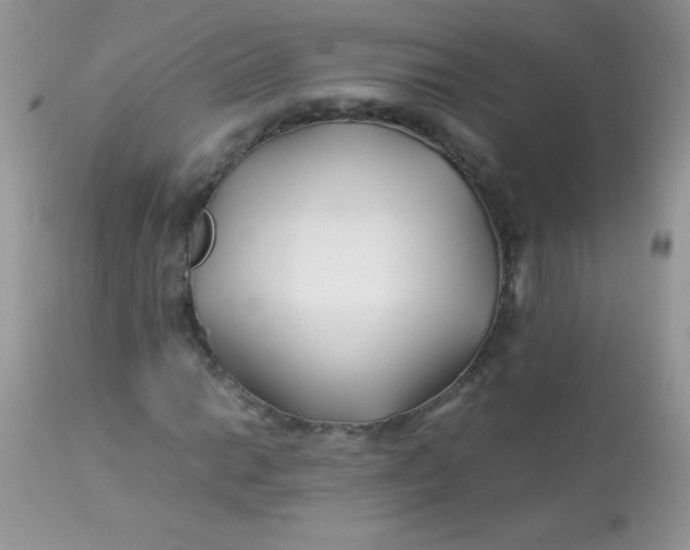 X0000113091014200909182108