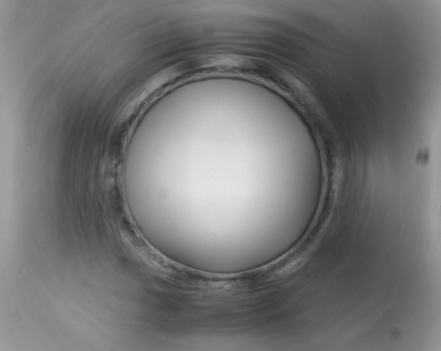 X0000113091017200909182108