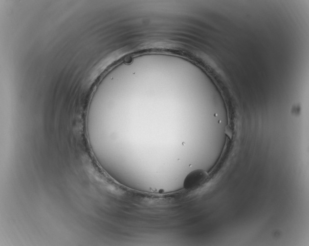 X0000113091025200909182108