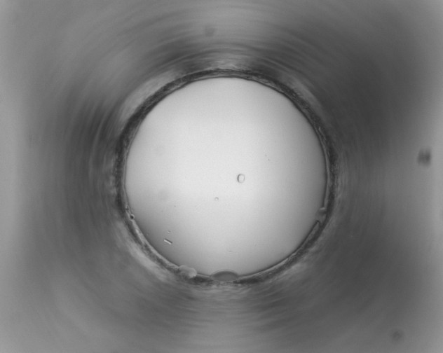 X0000113091026200909182108