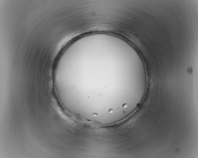 X0000113091030200909182108