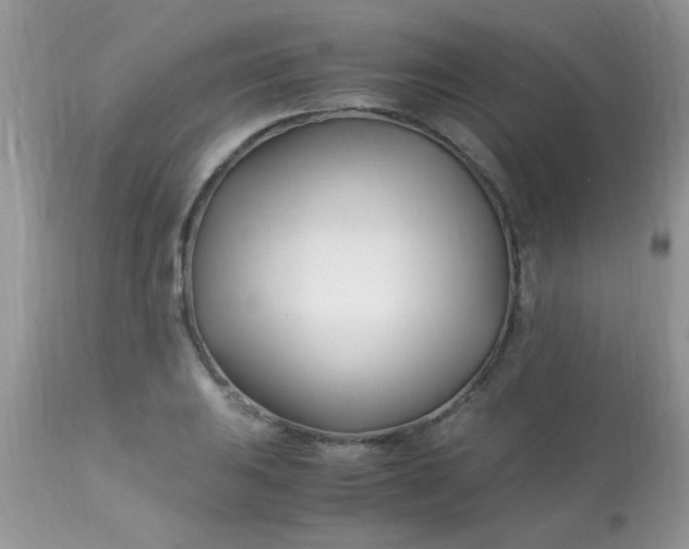 X0000113091031200909182108