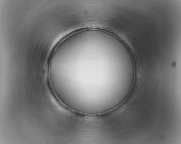 X0000113091032200909182108