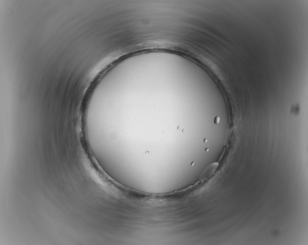 X0000113091034200909182108