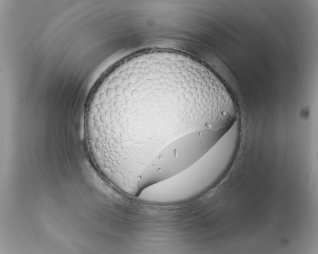 X0000113091036200909182108