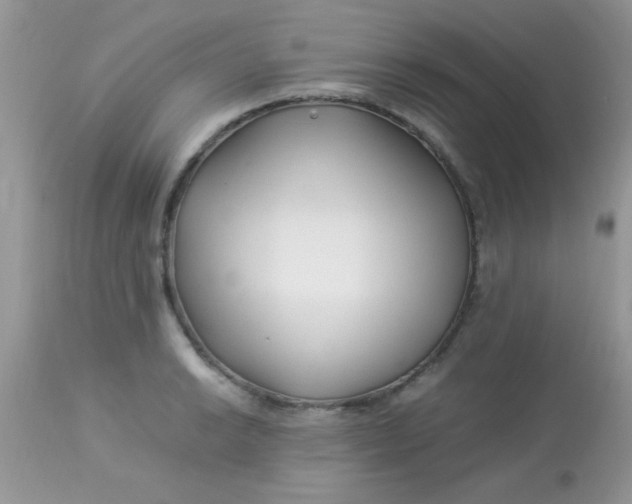 X0000113091038200909182108