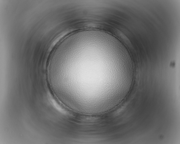 X0000113091039200909182108