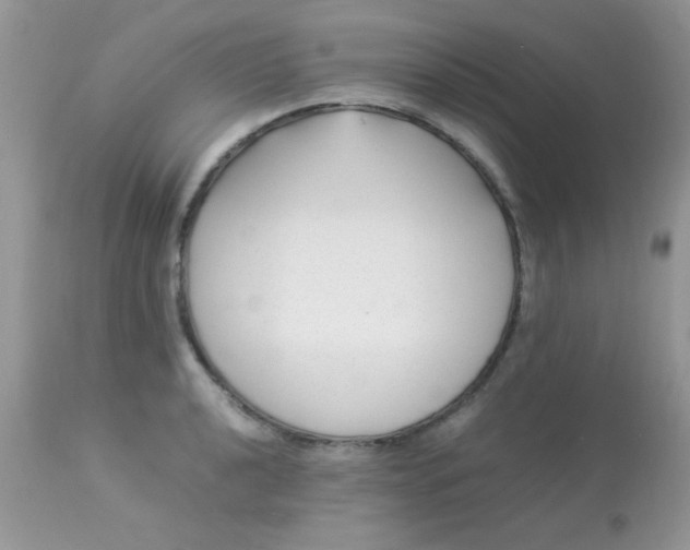 X0000113091040200909182108