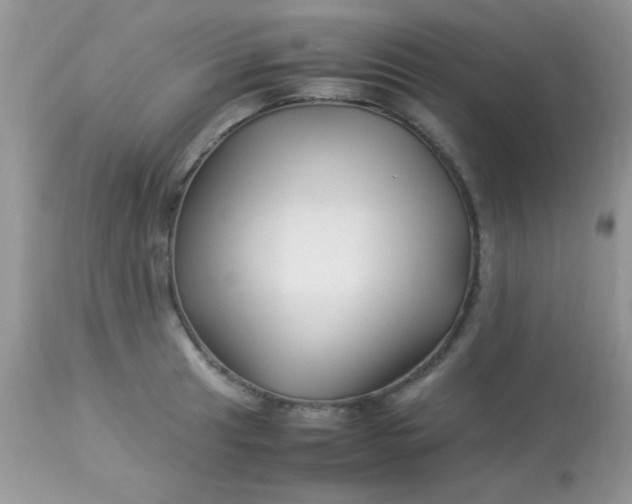 X0000113091041200909182108