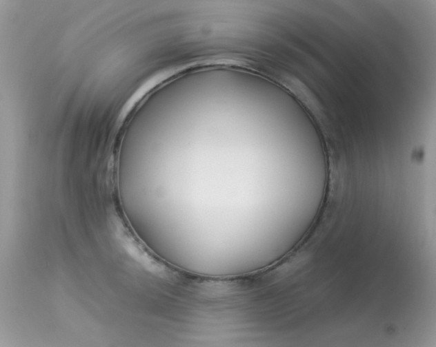 X0000113091044200909182109