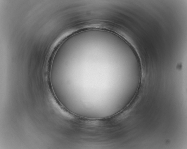 X0000113091045200909182109