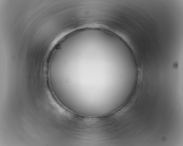 X0000113091046200909182109