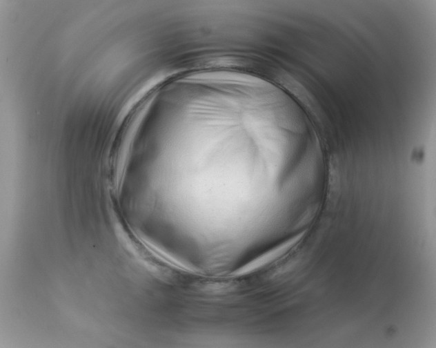 X0000113091047200909182109