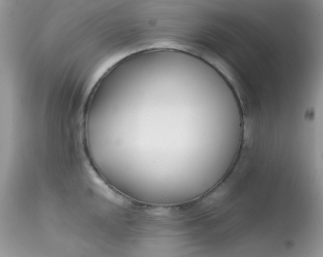 X0000113091048200909182109