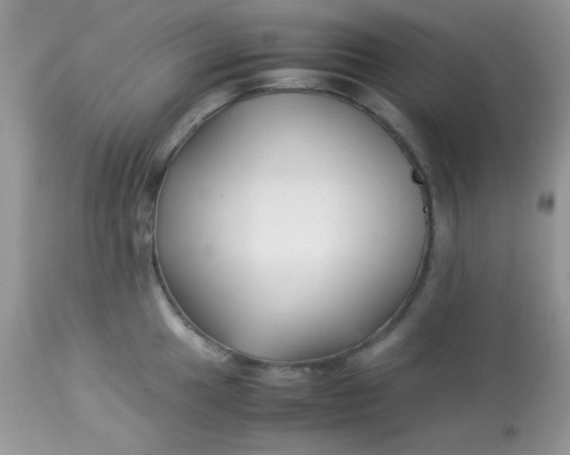 X0000113091049200909182109