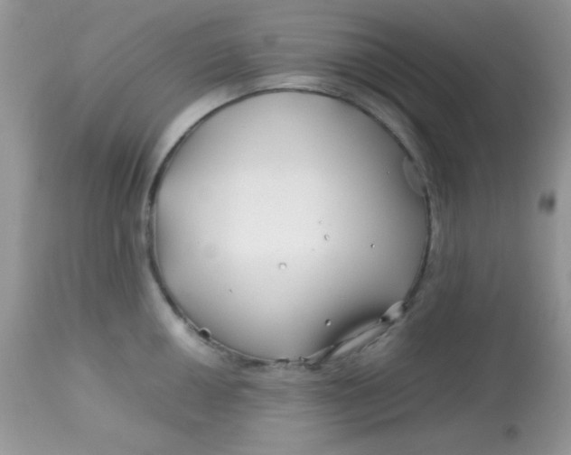 X0000113091050200909182109