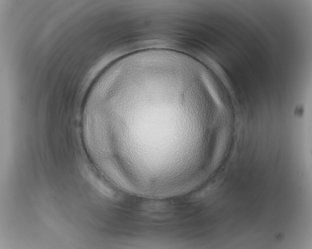 X0000113091051200909182109