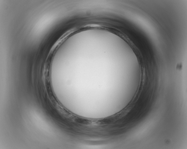 X0000113091052200909182109