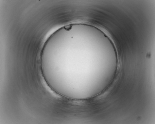 X0000113091053200909182109