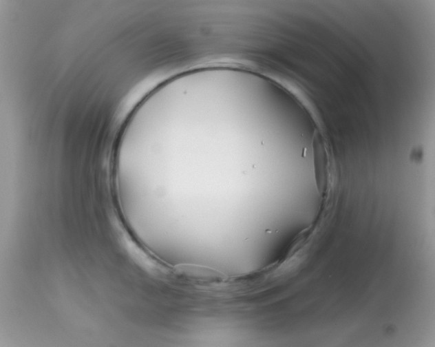 X0000113091054200909182109