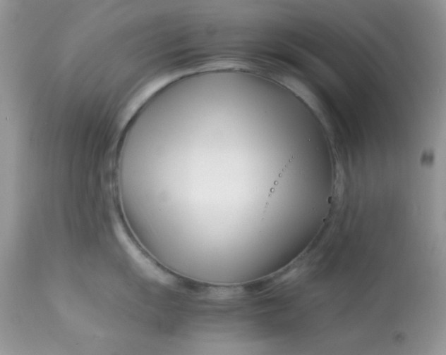 X0000113091055200909182109