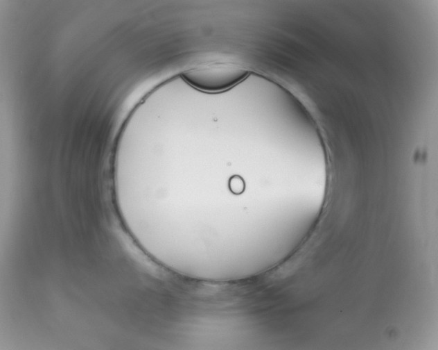 X0000113091056200909182109