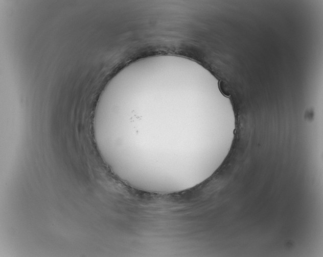 X0000113091057200909182108