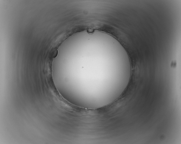 X0000113091058200909182108