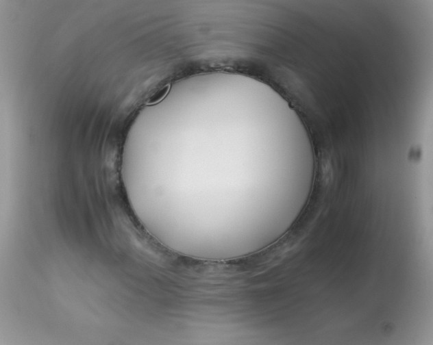 X0000113091060200909182108