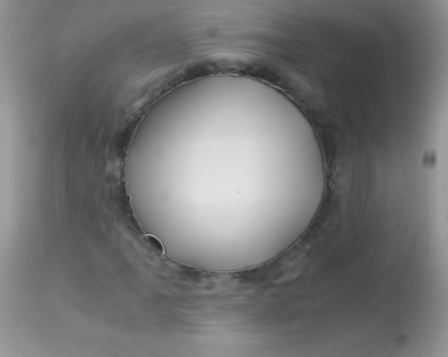 X0000113091061200909182108