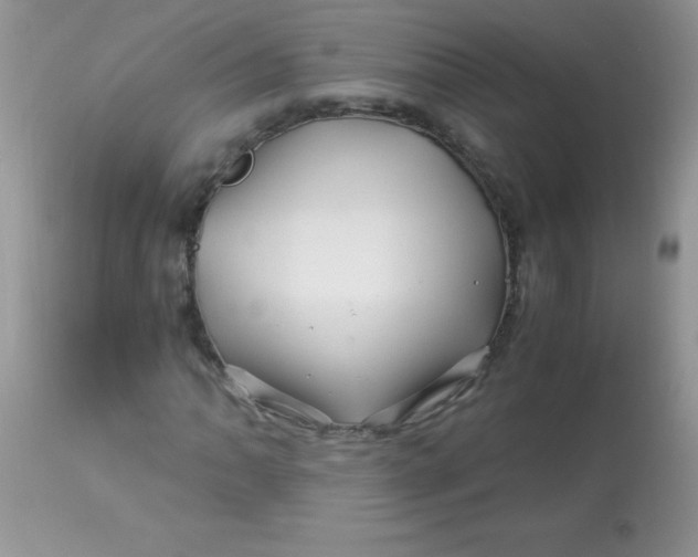X0000113091062200909182108