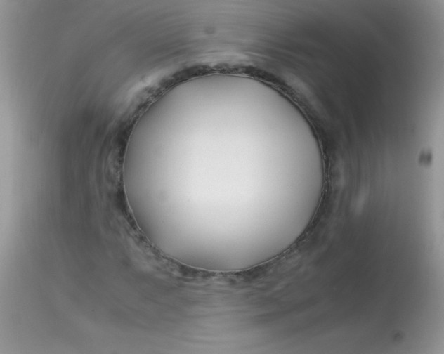 X0000113091063200909182108