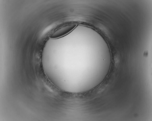 X0000113091064200909182108