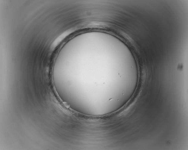 X0000113091066200909182108