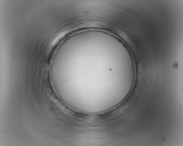 X0000113091067200909182108