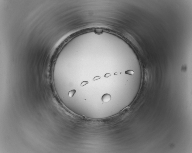 X0000113091068200909182108