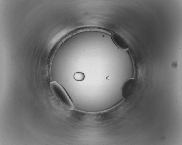 X0000113091069200909182108