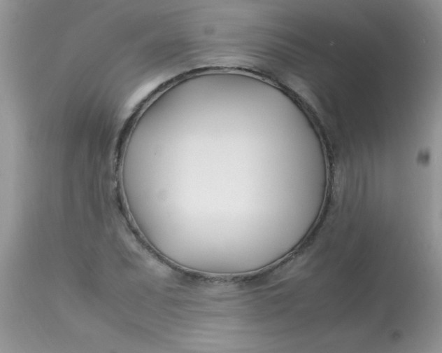 X0000113091071200909182108