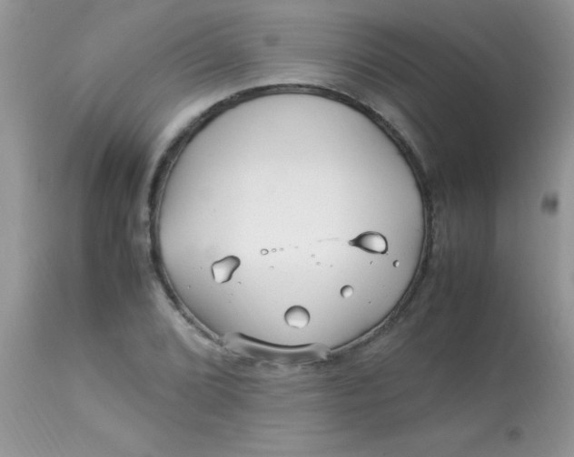 X0000113091072200909182108